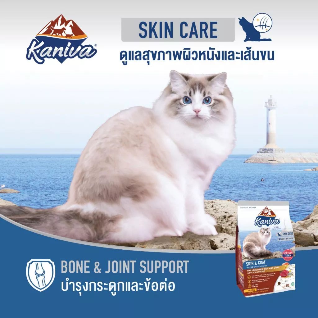 อาหารแมว Kaniva ขนาด 1.2-1.5 กก ทุกสูตร thumbnail 8