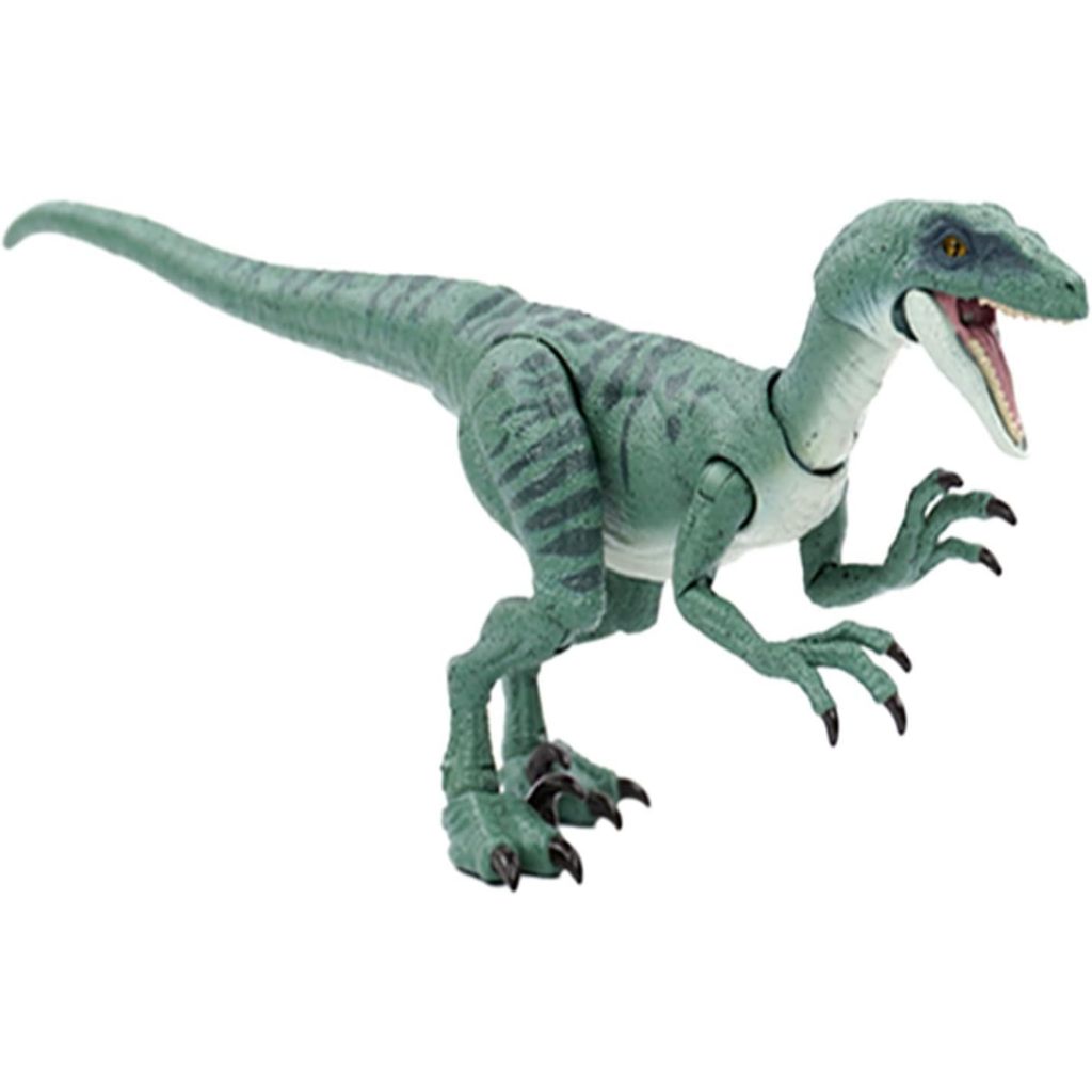 Mattel Jurassic World Hammond Collection Velociraptor Delta ฟิกเกอร์ไดโนเสาร์สำหรับเด็ก ความยาวรวม: 