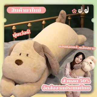 พร้้อมส่ง💥หมอนตุ๊กตาตัวยาว น้องหมาลาเต้ Latte The Dog 65/95CM การตกแต่งห้องนอน