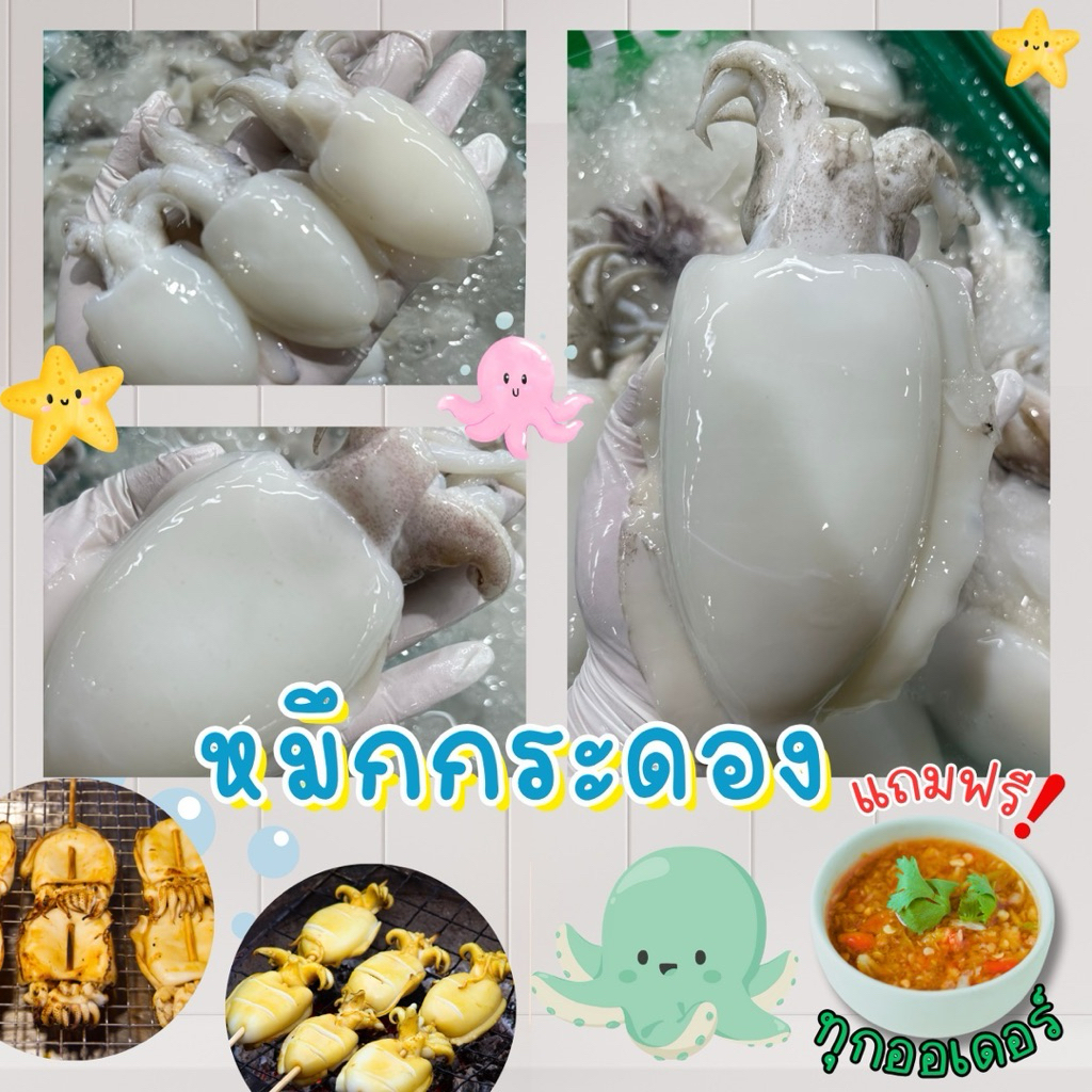 🐙ปลาหมึกกระดองสด+ฟรีน้ำจิ้มซีฟู้ด‼️ปลาหมึกกระดอง 1 กิโลกรัม 🐙 ปลาหมึกสด 🐙 สด สะอาด พร้อมส่งทั่วไทย 🚐