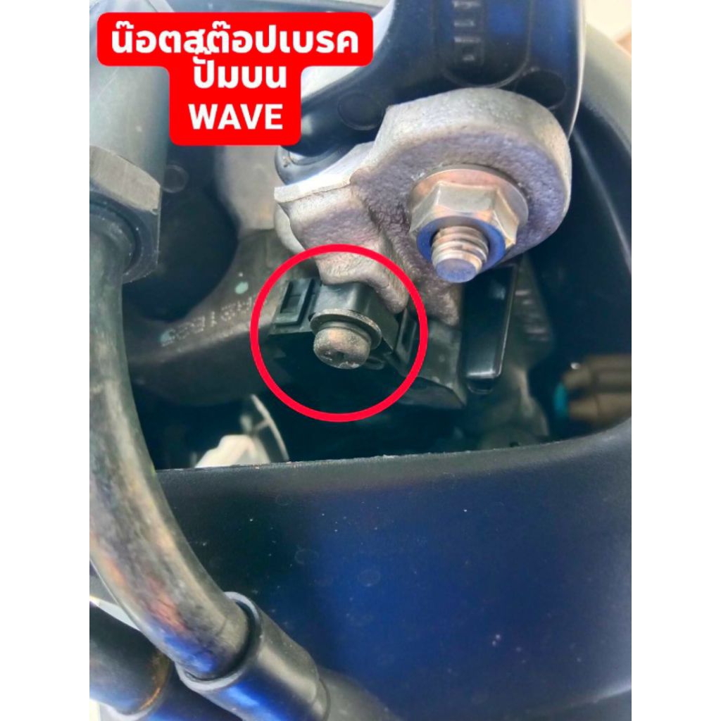 น๊อตสต๊อปเบรคบนWAVE -Nmax (ชุด 1 ตัว)สแตนเลสแท้