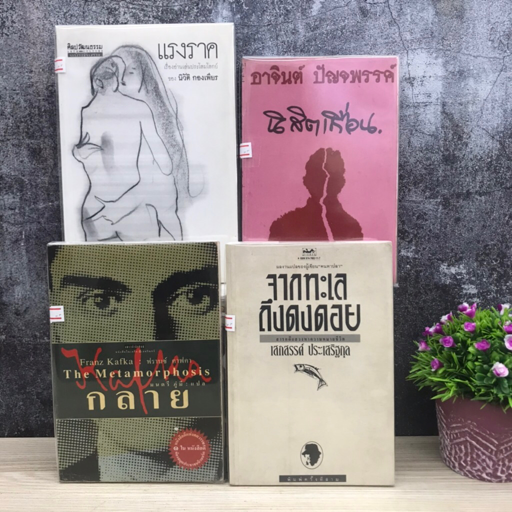 📚กลายS5284 จากทะเลถึงดงดอยS5285 นิสิตเถื่อนS5286 แรงราคS5287📖