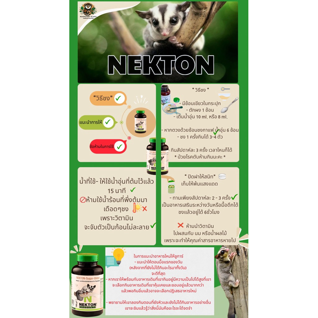 Nekton วิตามินชูการ์ไกลเดอร์ รูปที่ 4