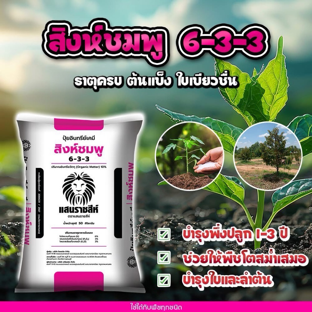 สูตร 6-3-3 สิงห์ชมพู🦁 สูตรบำรุงต้น/ใบ ใบเขียวมันวาว เพิ่มการแตกราก ฟื้นฟูต้นหลังการเก็บเกี่ยว แบ่งขาย 950 กรัม - รูปที่ 5