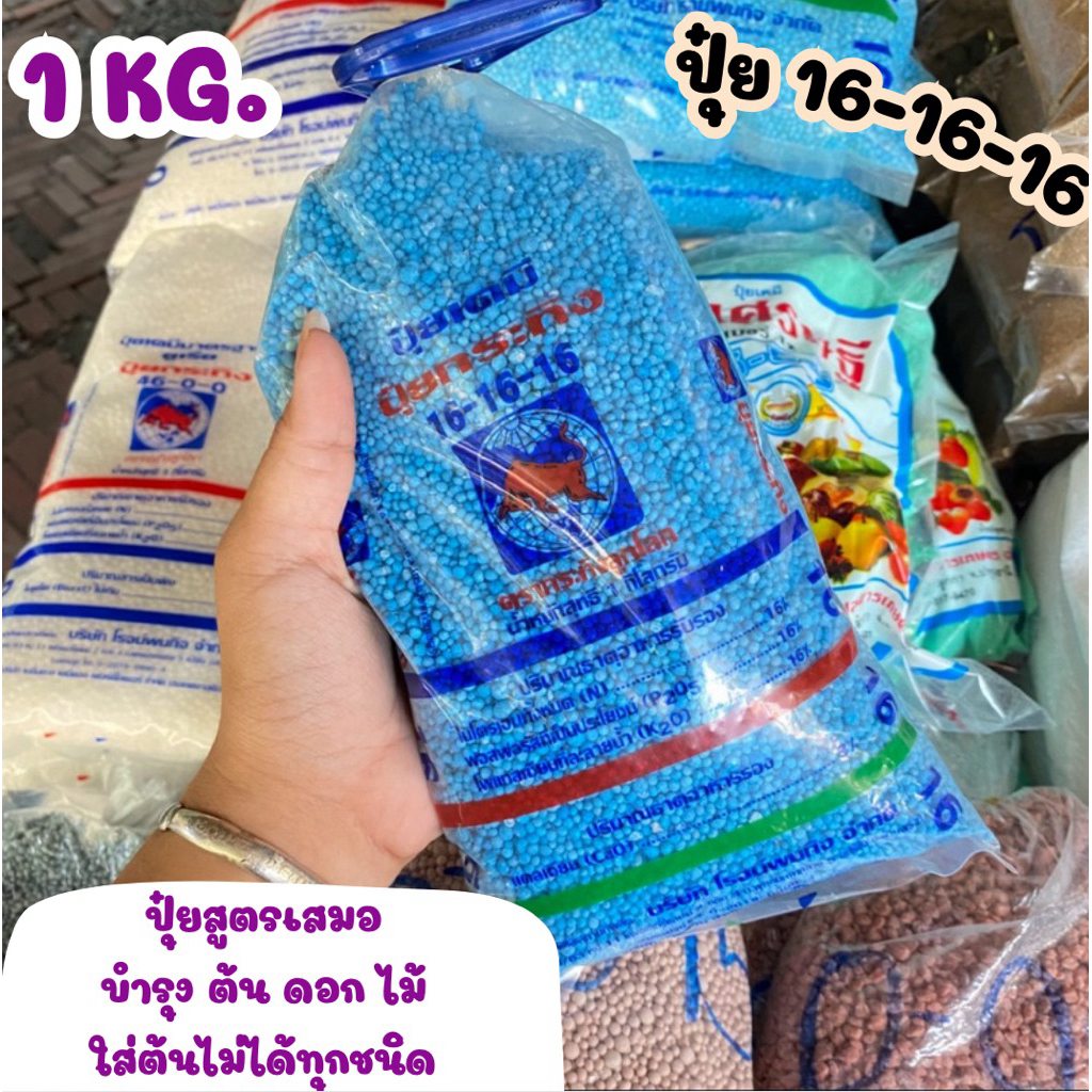 16-16-16 ปุ๋ยสูตรเสมอ บำรุงต้นดอกใบ