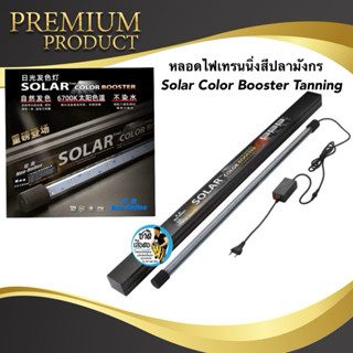 หลอดไฟตู้ปลา Solar Color Booster Tanning ไฟเทรนนิ่งปลามังกร