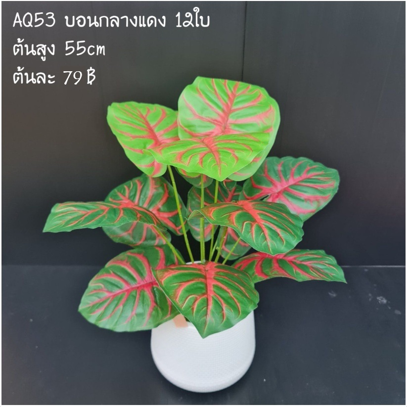 AQ53พร้อมส่ง ต้นไม้ปลอมบอนแดง 12 ใบ สูง55ซม.(ไม่รวมกระถาง)