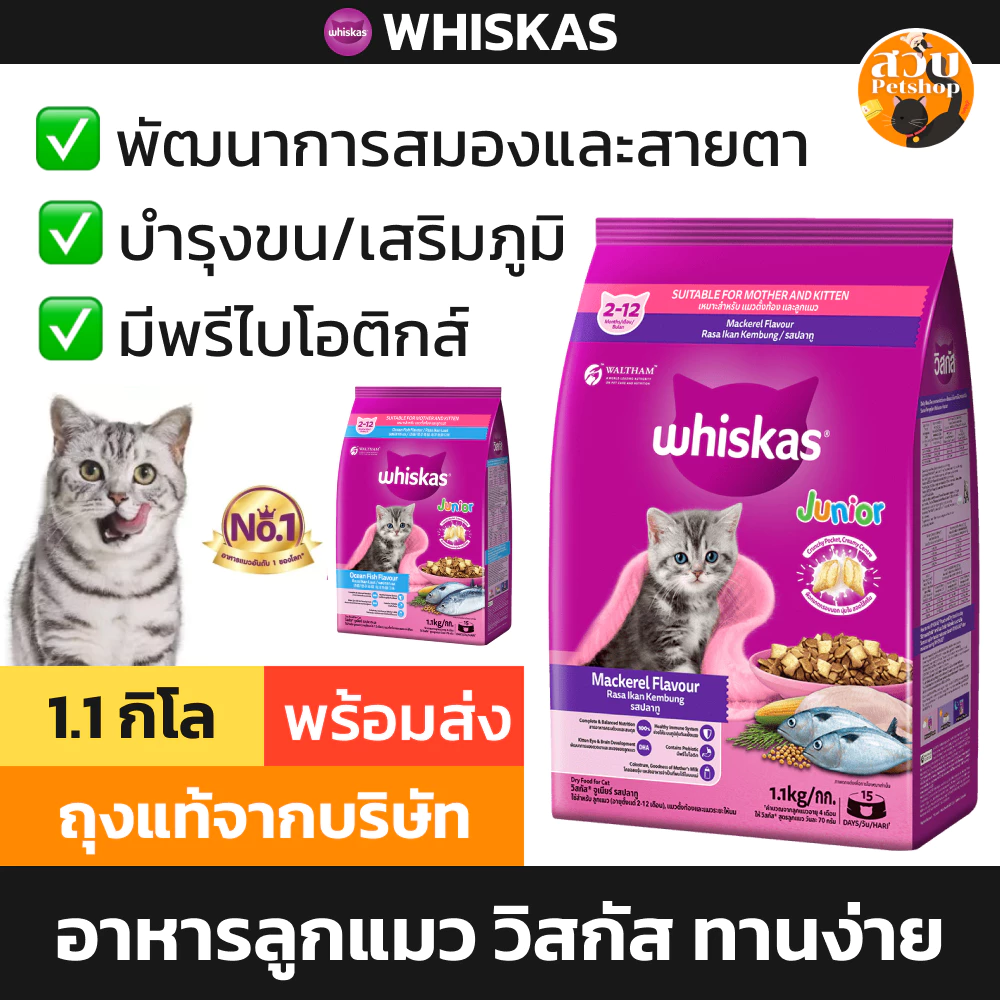 [ล็อตใหม่] Whiskas อาหารแมว วิสกัส จูเนียร์ ลูกแมว ปลาทู ปลาทะเล บำรุงขน เสริมภูมิ ทานง่าย ส่งด่วน ขนาด 1.1 kg