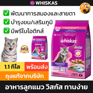 [ล็อตใหม่ 09/2026] Whiskas อาหารแมว วิสกัส จูเนียร์ ลูกแมว ป…