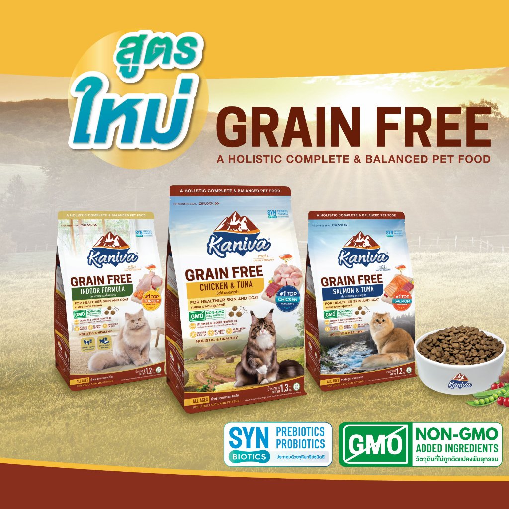 รูปภาพ 5