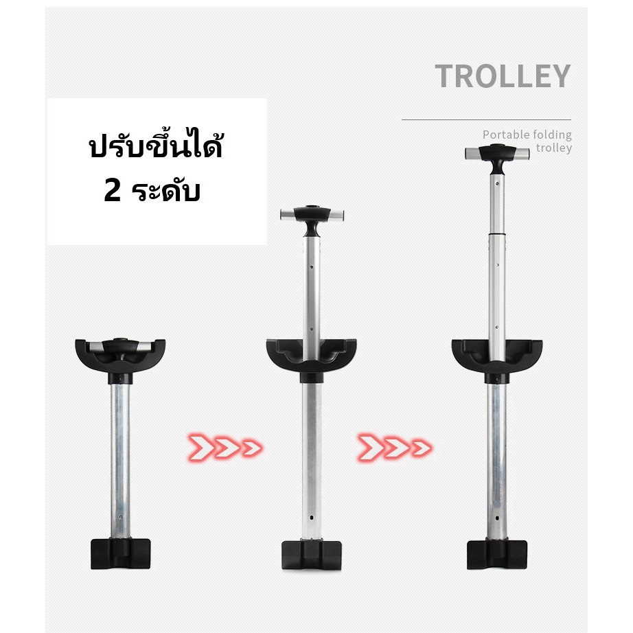 รูปภาพ 4