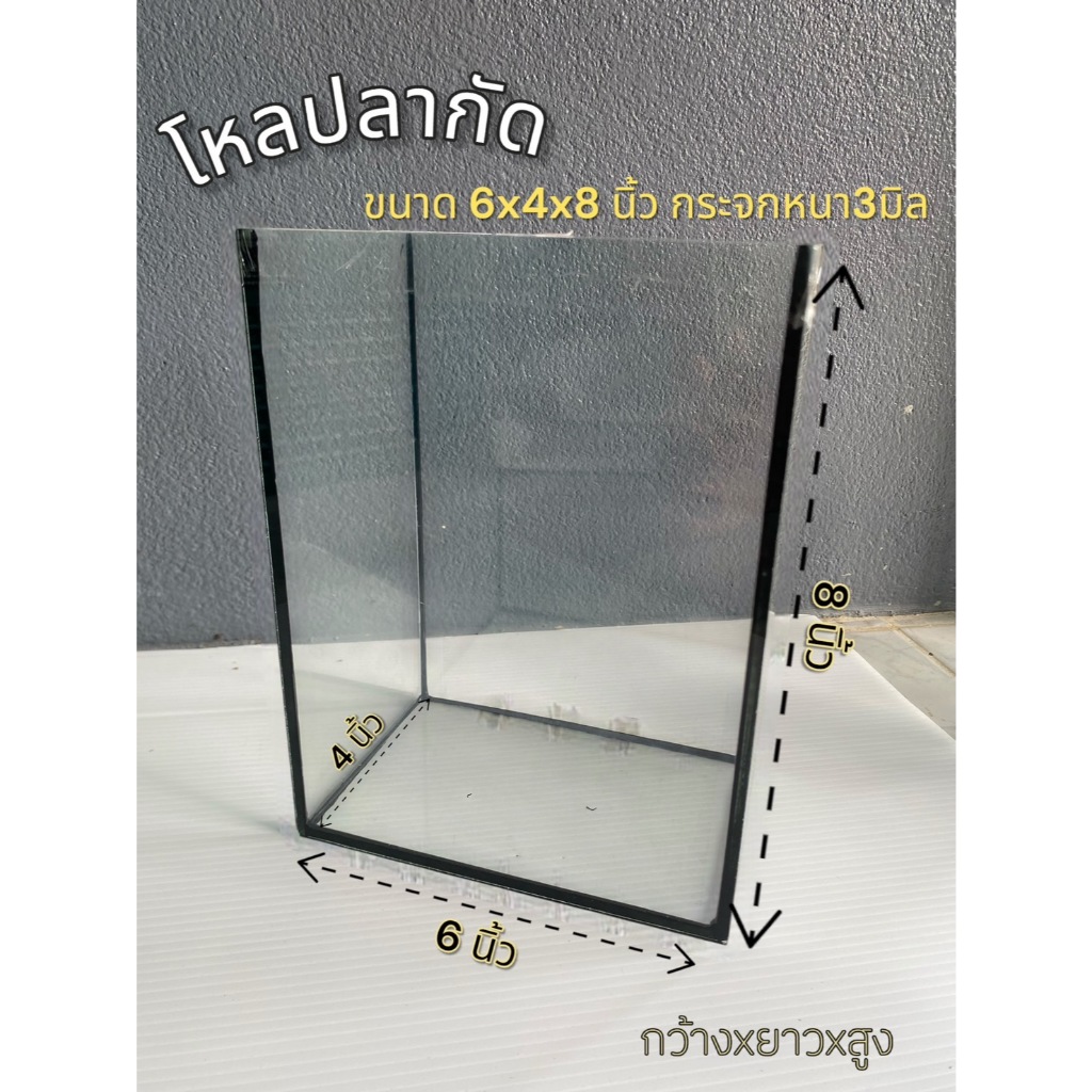 โหลปลากัด 6x4x8 นิ้ว กระจกหนา 3 มิลลิเมตร  (1 ใบ)