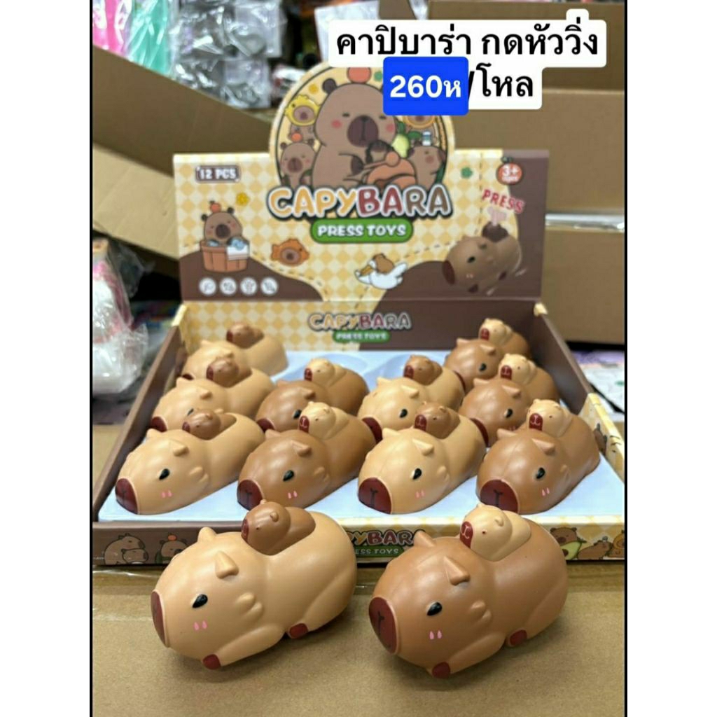 ทุงทุงทุงทรายยืดสกูชชี่มาแล้วคะ