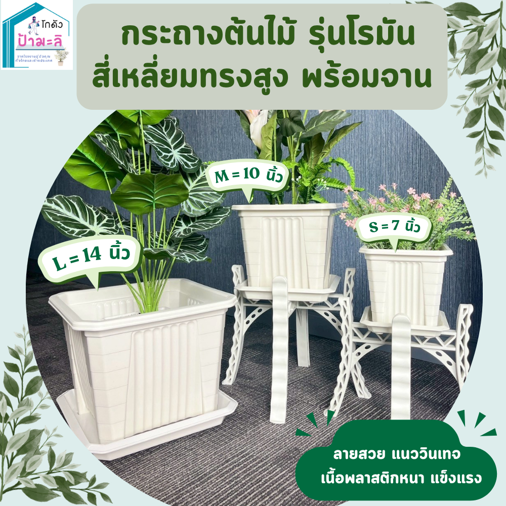 กระถางต้นไม้ รุ่นโรมัน สี่เหลี่ยม ทรงสูง สีขาว พร้อมจาน ขนาด 7 นิ้ว 10 นิ้ว 14 นิ้ว
