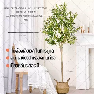 GAIDING-[ความจำลอง 99.9%]120/150/180cm ต้นไม้ปลอม ต้นโอลีฟ ต้นมะกอกปลอม สไตล์นอร์ดิกอิน ไม่ต้องบำรุงรักษา