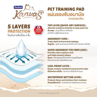 Kanvas แคนวาส แผ่นรองซับ สำหรับสัตว์เลี้ยง ยับยั้งแบคทีเรีย ป้องกันการซึมเปื้อน 5 ชั้น ซึมซับเร็ว ควบคุมกลิ่น