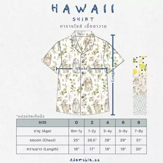 เชิ้ตฮาวาย คอปก ลายวินเทจ (เฉพาะเสื้อ)