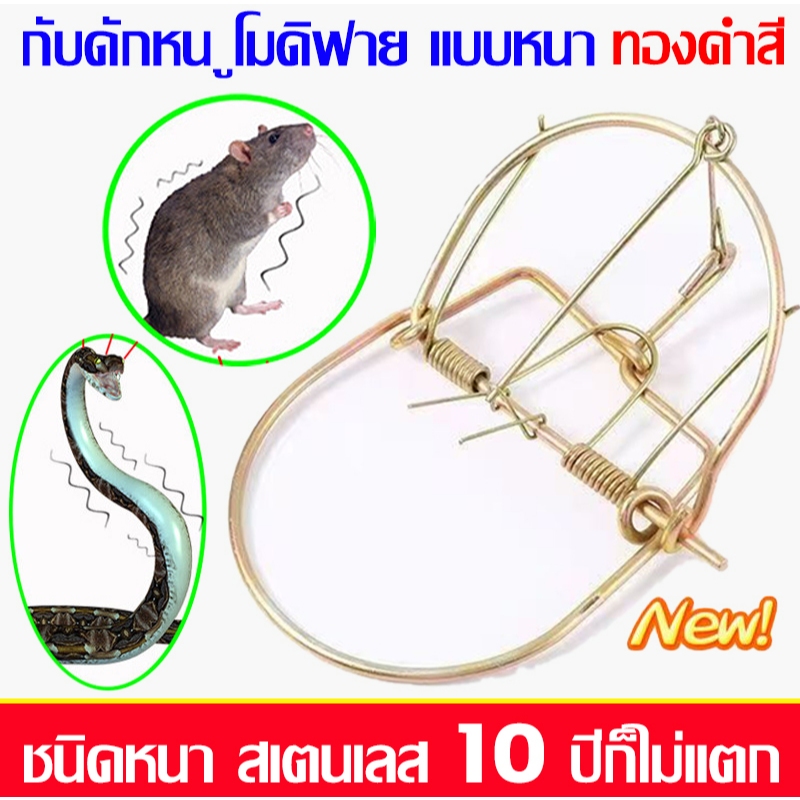 10 ปีก็ไม่แตก ที่ดักหนู กับดักหนู กับเวียดนาม กับลาว 6นิ้วชนิดหนา สเตนเลส สีทอง กับดักหนูโมดิฟาย