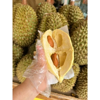 ส่งด่วน1วัน🚚ทุเรียนหมอนทองภูเขาไฟศรีสะเกษแท้ แกะชั่งเนื้อล้วนๆ