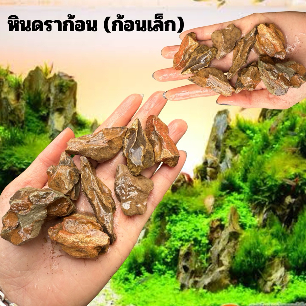 🥇หินดราก้อน (ก้อนเล็ก)⛰️ แต่งตู้ปลานำไปติดกาวได้