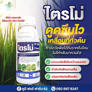 ไตรโม่ 1 ลิตร 2,4D+พิคลอแรม เก่งหญ้าใบกว้าง กก เถาเครือ ผักบุ้ง ผักพริก ปลอดภัย ข้าว อ้อย ข้าวโพด