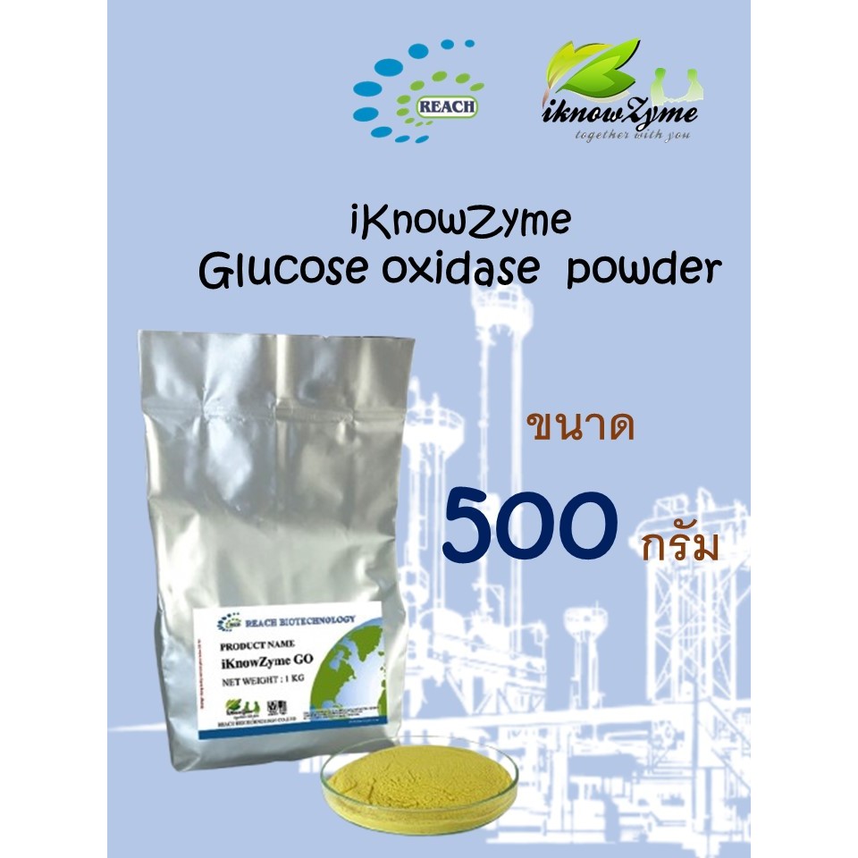 iKnowZyme Glucose oxidase Powder เอนไซม์กลูโคสออกซิเดส ขนาด 500 กรัม