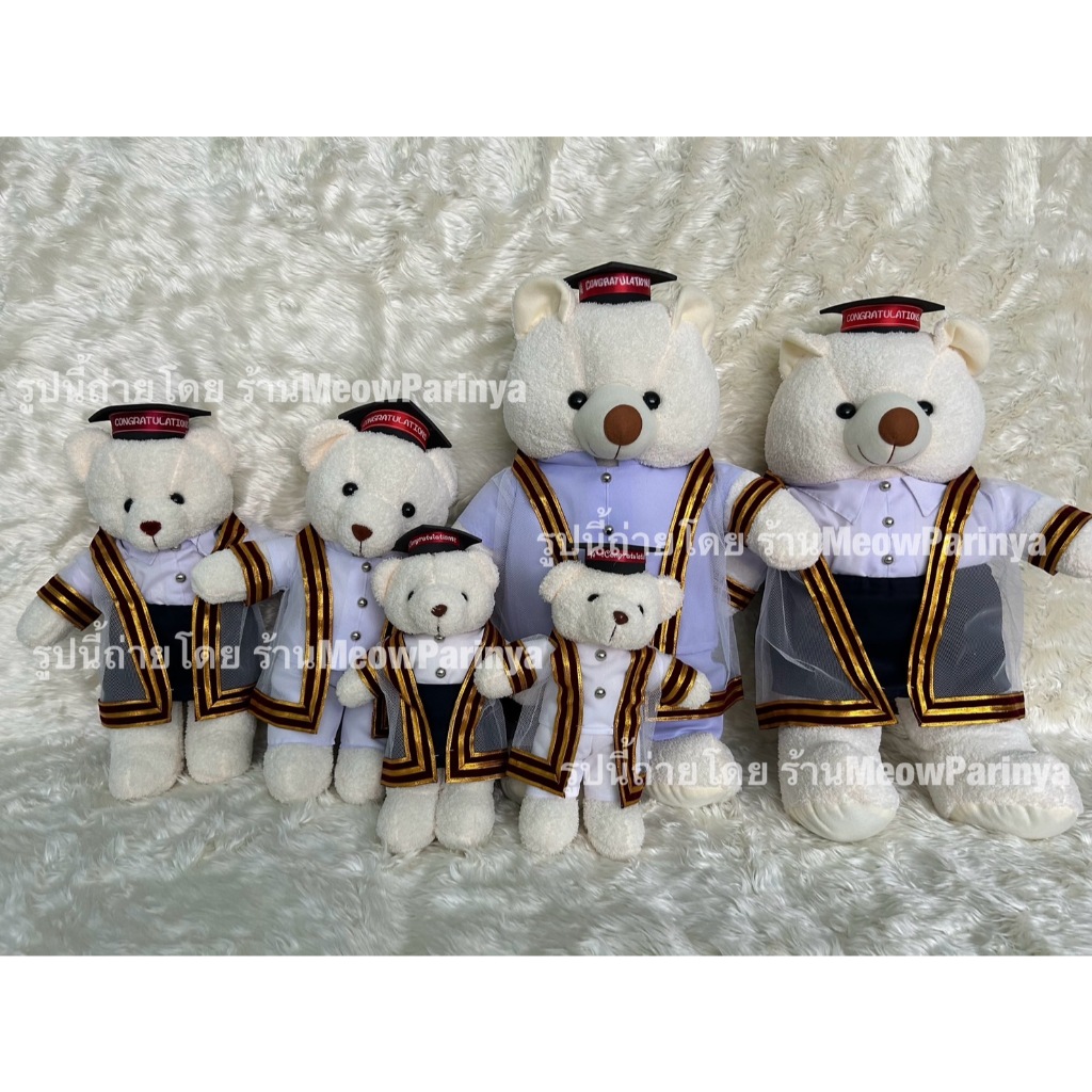 หมีชุดครุยสถาบันอาชีวศึกษา ของขวัญรับปริญญา ของที่ระลึก แฮนด์แมด พร้อมส่ง