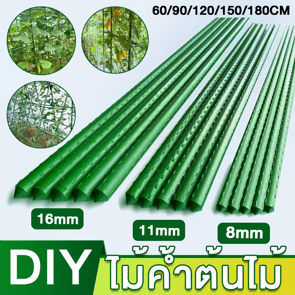 ☘️พร้อมส่ง☘️10แท่ง ไม้ค้ำต้นไม้ หลักไม้เลื้อย ไม้ค้ำยันต้นไม้ ยาว60.90.120.150.180ซม.หนา8.11.16.20มม เสามะเขือเทศ