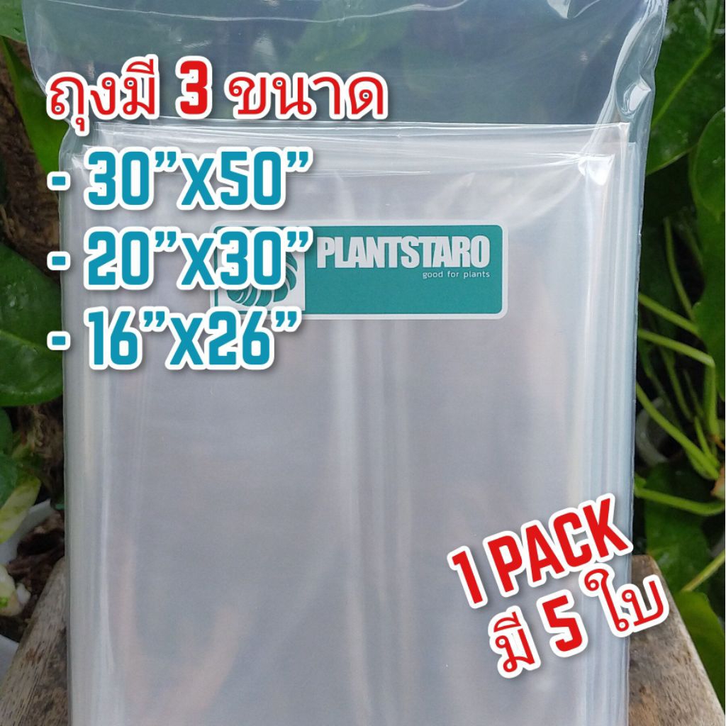 ถุงใสใบใหญ่ อบต้นไม้ เก็บของ ขนาด 30x50" / 20x30" / 16x26"