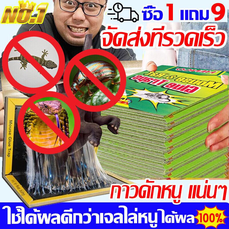Thumbnail 9