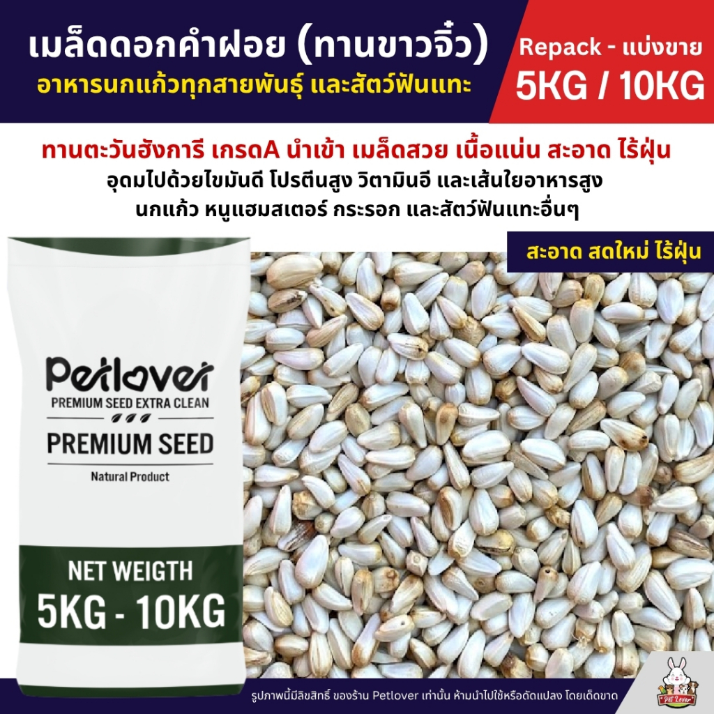 (5KG/10KG) ดอกคำฝอย Safflower (ทานตะวันขาวจิ๋ว) เกรดA เม็ดเล็ก อาหารนกแก้วและสัตว์ฟันแทะ