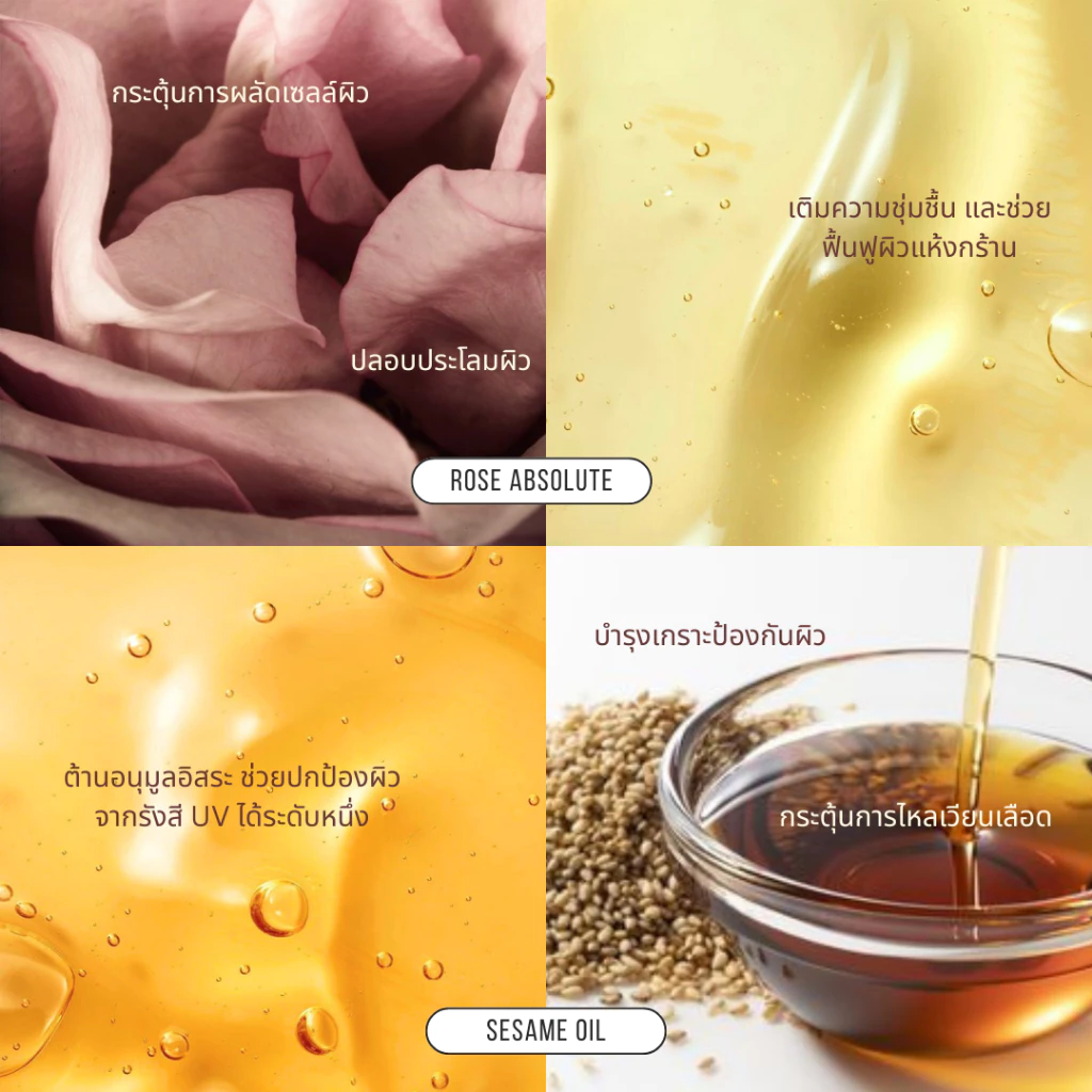 [Best seller] Erb Wine & Roses Body Oil 230 ml. บอดี้ออยล์ ผิวโกล์ว ทาผิว กลิ่นไวน์กุหลาบ ลดริ้วรอยแตกลาย ซึมไว thumbnail 7
