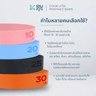 SOMDUL ยางยืดออกกำลังกาย Latex Resistance Bands | ฟิตหุ่น สร้างกล้าม เน้นกระชับสัดส่วน