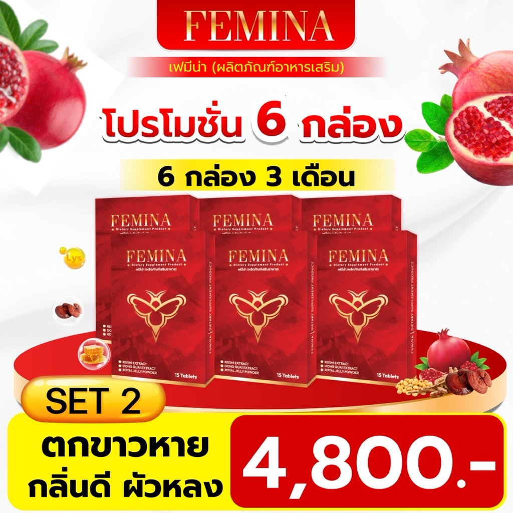 Feminaเฟมีน่า(6 กล่อง)