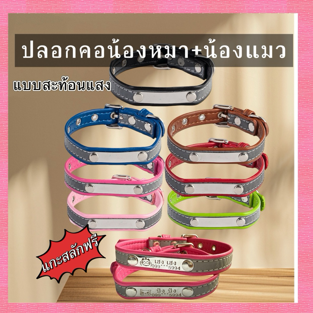 ปลอกคอแมว ปลอกคอสุนัข สลักชื่อฟรี ปลอกคอนิรภัยสะท้อนแสง