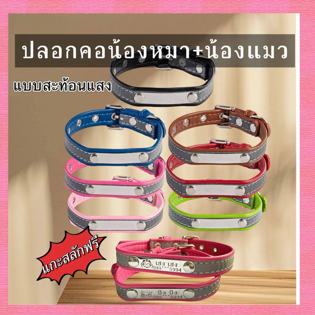 ปลอกคอแมว สุนัข สลักชื่อฟรี มีแถบสะท้อนแสง ร้านไทย🇹🇭