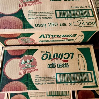 (ยกลัง 24 ขวด)​กะทิอัมพวา​ 250 มล​ พร้อมส่ง​ (สินค้าใหม่อายุยาว)​