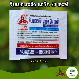 จิบเบอเรลลิก แอซิด 20 เอสที (5 กรัม) [กรดจิบเบอเรลลิก] ฮอร์โมนยืดช่อดอก เพิ่มสัดส่วนดอกตัวผู้ ขยายขนาดผล กระตุ้นการงอก