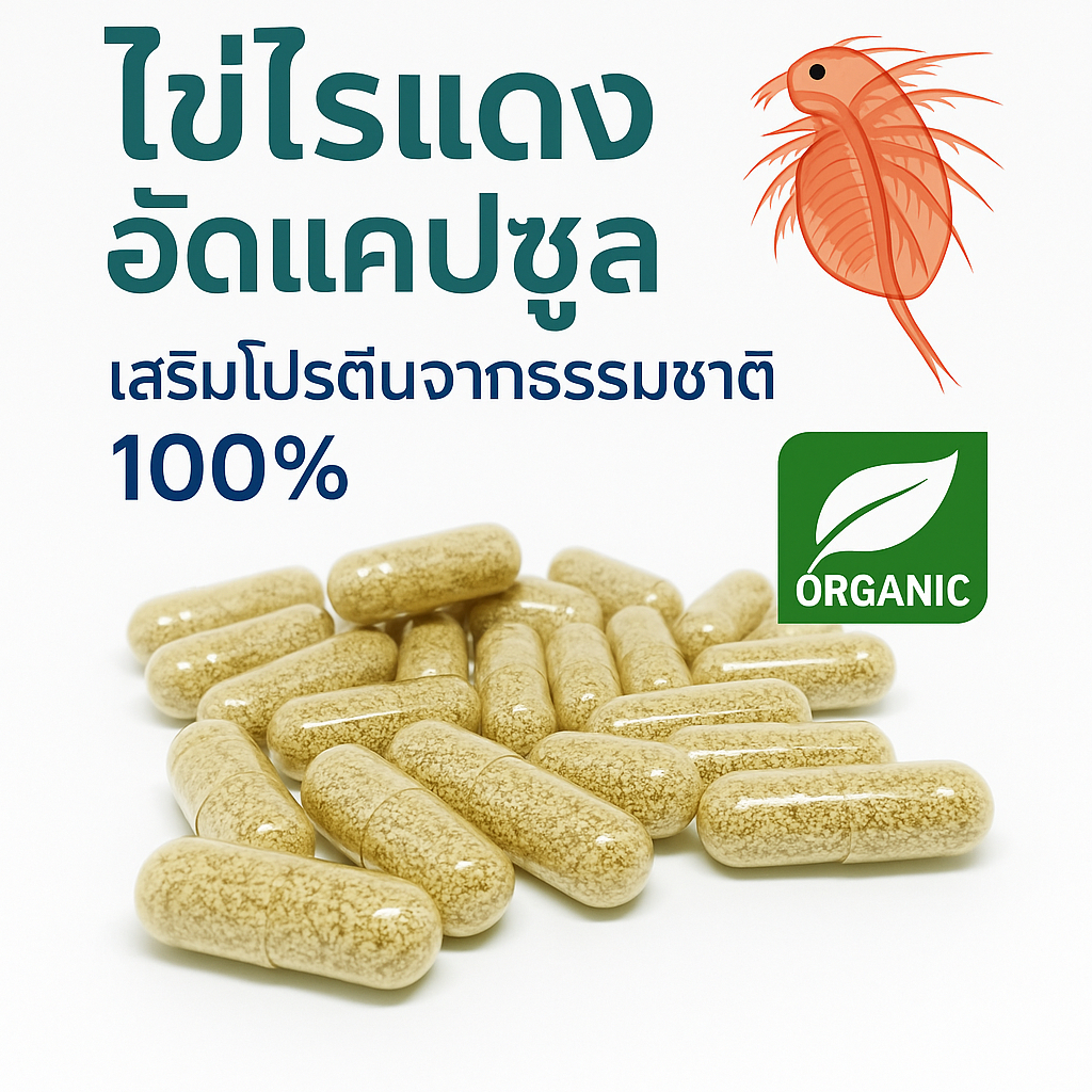 ไข่ไรแดง มาโคร (Moina Macrocopa)   ในแคปซูลใหญ่เบอร์1   ส่งฟรีส่งทุกวันอาหารปลาสำหรับลูกปลาแรกเกิด