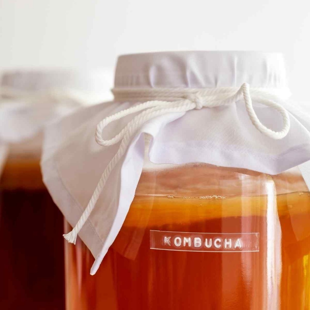 Kombucha คอมบูชา คอมบูชะ ชาหมักออร์แกนิค หวานน้อย น้ำตาลต่ำ พร้อมดื่มในขวดแก้ว หลายรสชาติ Keto Vegan - รูปที่ 4