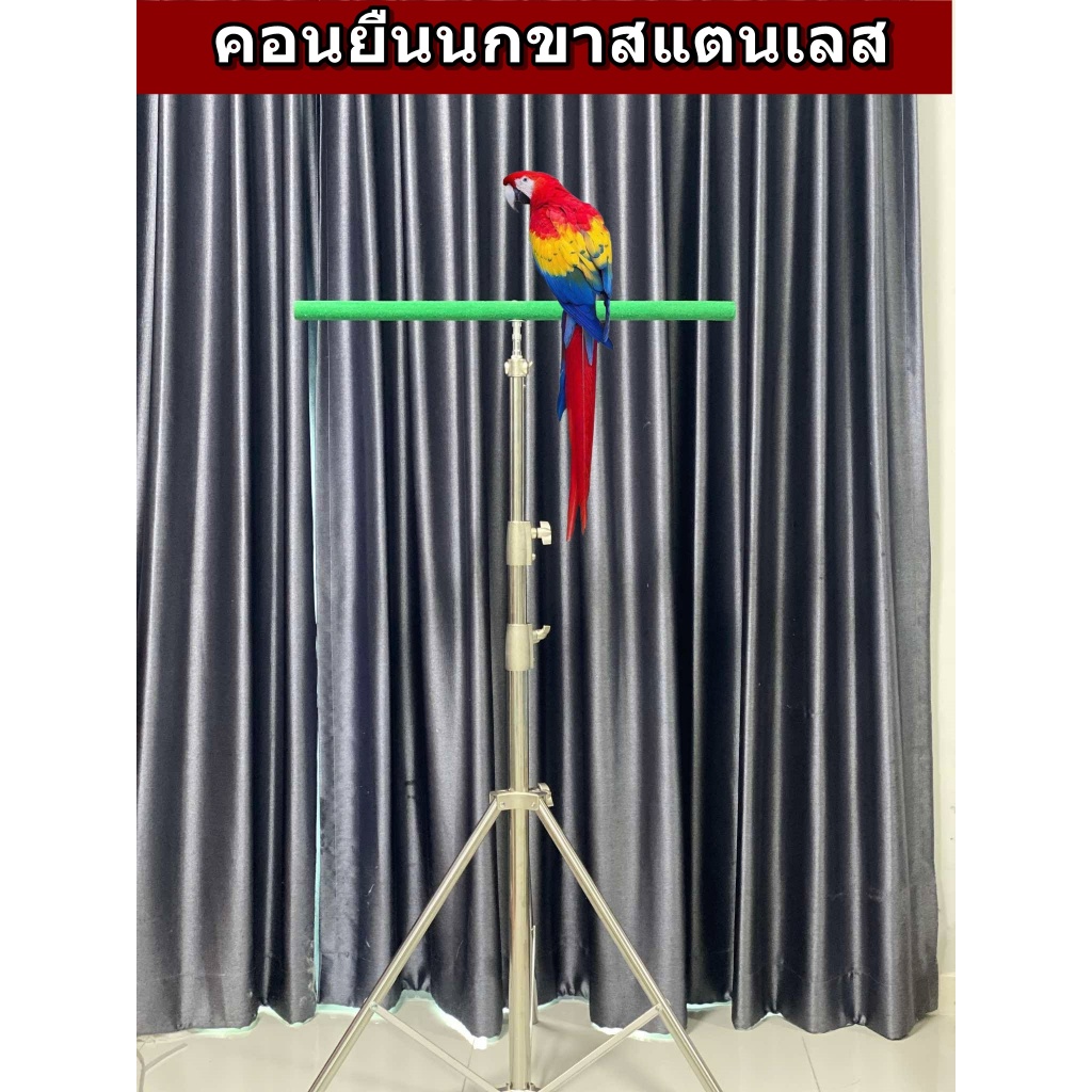 คอนยืนนกขาสแตนเลส คอนนกยืนมีขาตั้ง ใช้ฝึกนกบินอิสระ ปรับความสูงได้ เหมาะกับนกทุกชนิด ใช้ฝึกบินอิสระ ราคาถูก Shopee Lazada