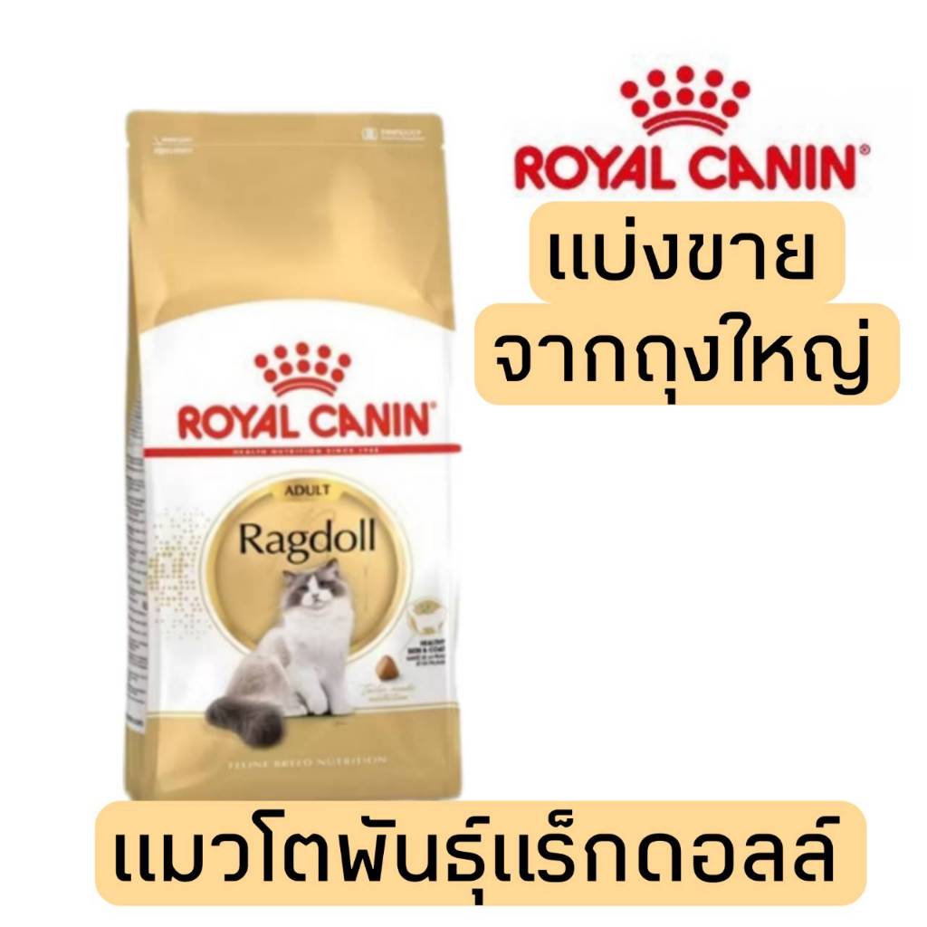 [แบ่งขาย] อาหารแมว Royal canin สูตร Ragdoll 500g 800g 1kg สำหรับแมวโตพันธุ์Ragdoll