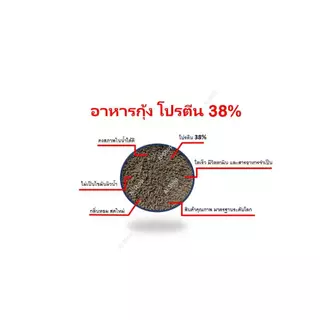 อาหารกุ้ง โปรตีน38% คาร์กิล แบ่งบรรจุ กลิ่่นหอม โตเร็ว โปรตีนสูง
