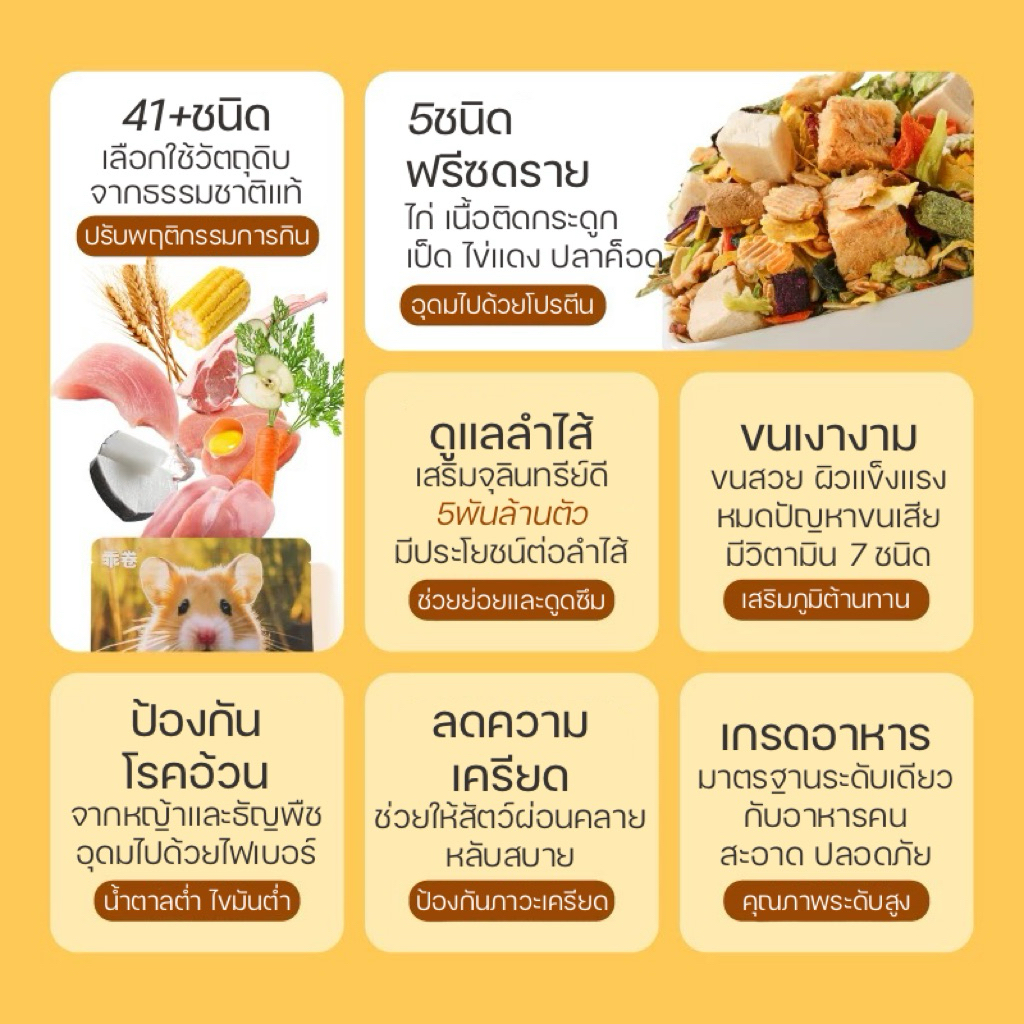 [Rodizoo] อาหารสูตรฟรีซดราย5ชนิด500g. อาหารแฮมสเตอร์ทุกสายพันธุ์ ไจแอนท์ แคระ แฟตเทล ดอร์เม้า สัตว์เลี้ยงขนาดเล็ก ราคา ถูกที่สุด ดีลบีเคเค แกลเลอรีภาพที่ 3