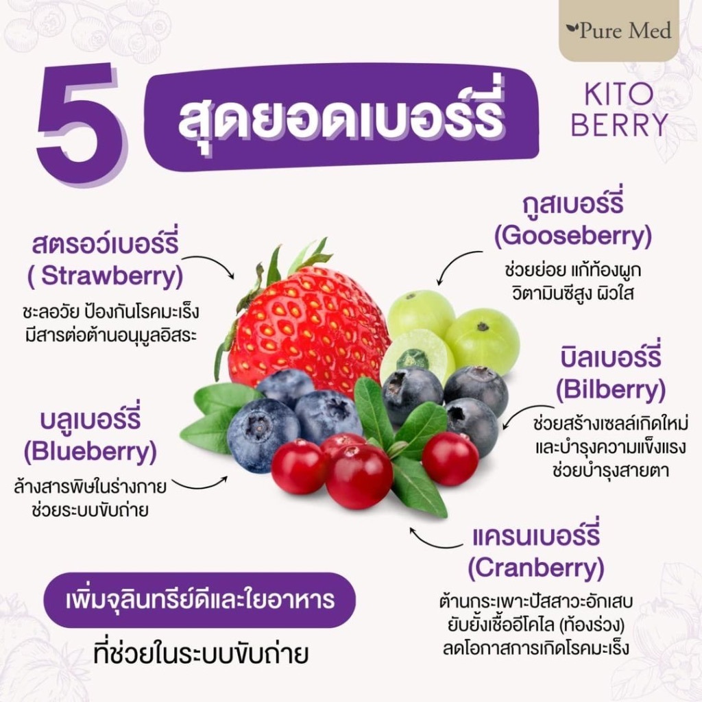 🍇Pure Med KITO BERRY 🍇 ไคโต้เบอรี่ (ฟรี Kito 1 ซอง/กล่อง) พร้อมส่ง ล็อตใหม่ - รูปที่ 2