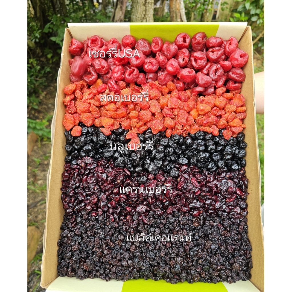 [New] ผลไม้รวม มิกซ์เบอร์รี่  มิกซ์5ชนิด เปรี้ยว หวานธรรมชาติ