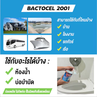 แบคโตเซล 2001 300cc* กำจัดกลิ่นเหม็น ส้วมตัน ท่อตัน กดน้ำไม่ลง ห้องน้ำเหม็น น้ำเน่าเสีย Bactocel