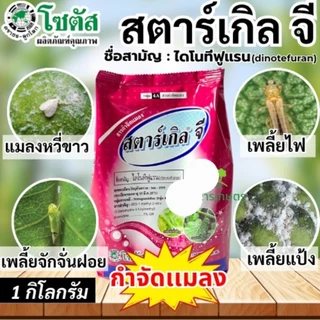 สตาร์เกิลจี (Starkle G) สตาเกิลจี สตาร์เกิล จี สตาเกิล จี สารกำจัดแมลงชนิดดูดซึมเข้าทางระบบราก 1กิโลกรัม