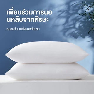 DreamHug หมอน ขนาด 19*30 นิ้ว หมอนไร้ซิป สัมผัสนุ่มแบบ แก้ปวดคอ นอนหนุนเพื่อสุขภาพ