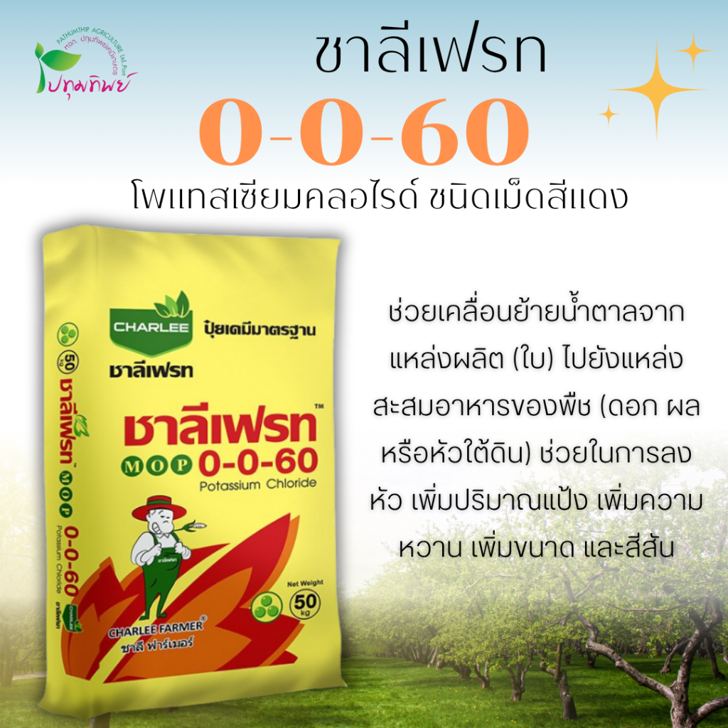 ปุ๋ยเม็ด ชาลีเฟรท 0-0-60 (โพแทสเซียมคลอไรด์) ชนิดเม็ดสีแดง ยกกระสอบ 50 กิโลกรัม